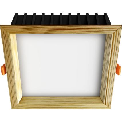 APLED - LED Vgradna svetilka SQUARE WOODLINE LED/12W/230V 3000K 17x17 cm bor trden les