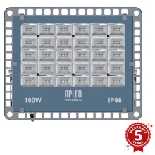 APLED - LED Zunanji reflektor PRO LED/100W/230V IP66 10000lm 6000K
