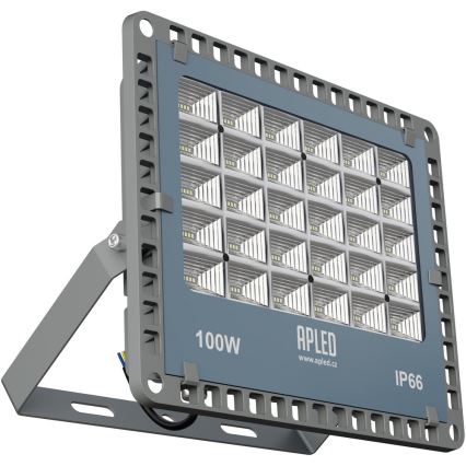 APLED - LED Zunanji reflektor PRO LED/100W/230V IP66 10000lm 6000K