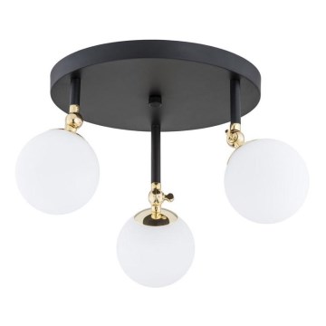 Argon 1436 - Kopalniški stropni lestenec LATINA 3xE14/40W/230V IP44