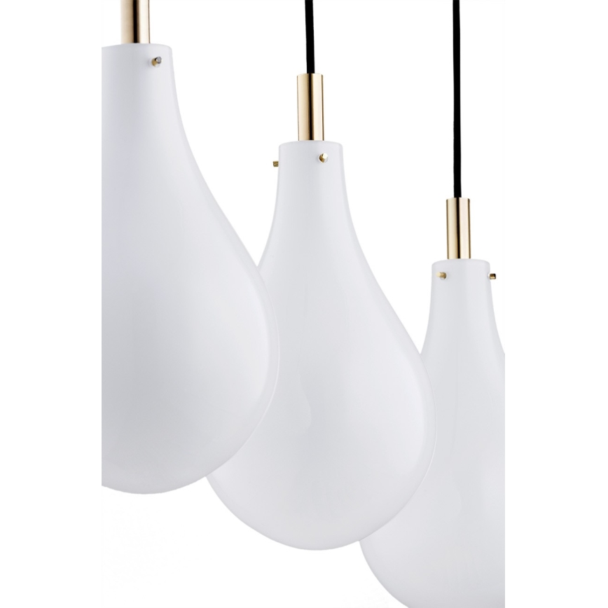 Argon 1741 - Lestenec na vrvici OAKLAND 4xG9/6W/230V
