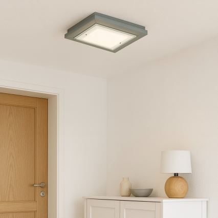 Argon 1873 - Stropna svetilka TABOR 4xE27/15W/230V 52x52 cm siva