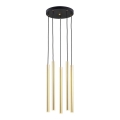 Argon 2109 - LED Lestenec na vrvici SICILIA 5xLED/4,5W/230V