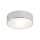 Argon 3083 - Stropna svetilka DARLING 2xE27/15W/230V pr. 25 cm srebrna
