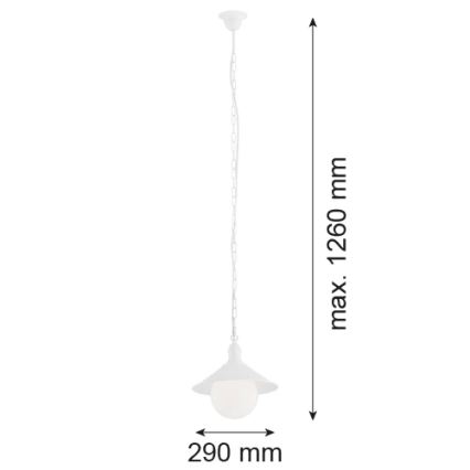 Argon 3296 - Zunanji lestenec ERBA BIS 1xE27/60W/230V