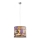 Argon 3334 - Lestenec na vrvici CITY 1xE27/15W/230V