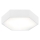 Argon 3827 - LED stropna svetilka ARIZONA LED/22,5W/230V bela