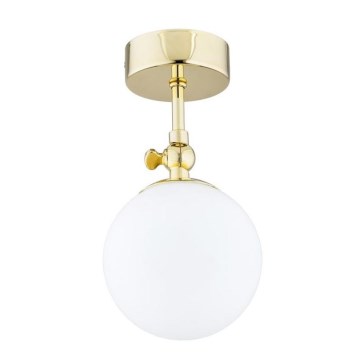 Argon 4001 - Kopalniški nadometni lestenec LATINA 1xE14/40W/230V IP44