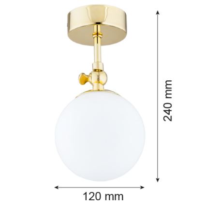 Argon 4001 - Kopalniški nadometni lestenec LATINA 1xE14/40W/230V IP44