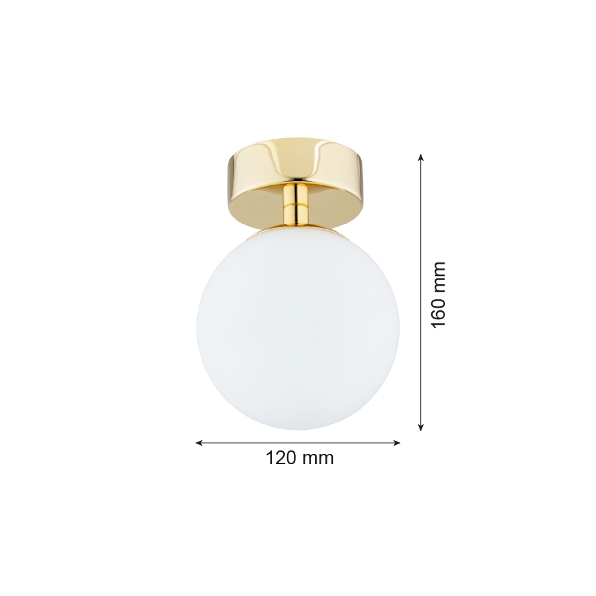 Argon 4004 - Stropna svetilka FLAVIO 1xE14/7W/230V
