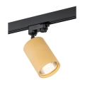 Argon 4304 - Reflektor do lištového systému BERGEN 1xE27/15W/230V zlata
