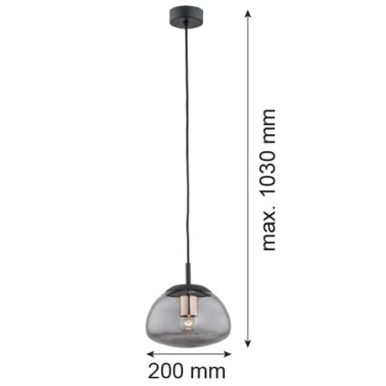 Argon 4333 - Lestenec na vrvici TRINI 1xE27/15W/230V pr. 20 cm črna