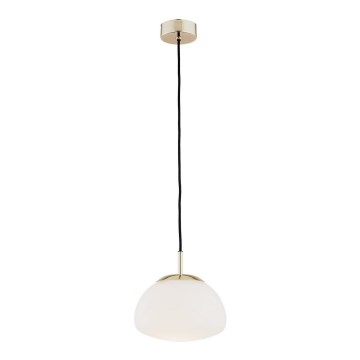 Argon 4352 - Lestenec na vrvici TRINI 1xE27/15W/230V pr. 20 cm zlata