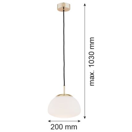 Argon 4352 - Lestenec na vrvici TRINI 1xE27/15W/230V pr. 20 cm zlata