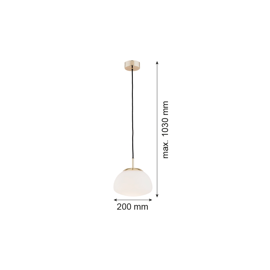 Argon 4352 - Lestenec na vrvici TRINI 1xE27/15W/230V pr. 20 cm zlata