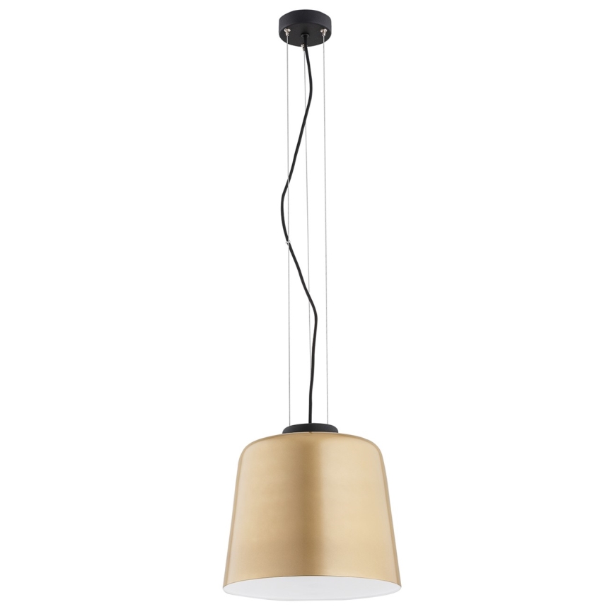 Argon 4690 - Lestenec na vrvici BERKLEY 1xE27/15W/230V