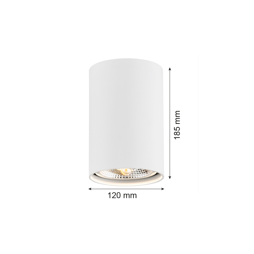 Argon 4910 - Reflektor TUBO AR111 1xGU10/15W/230V bela