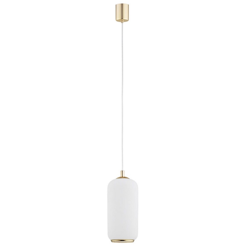 Argon 4993 - Lestenec na vrvici PALLADO 1xE27/15W/230V zlato/bela