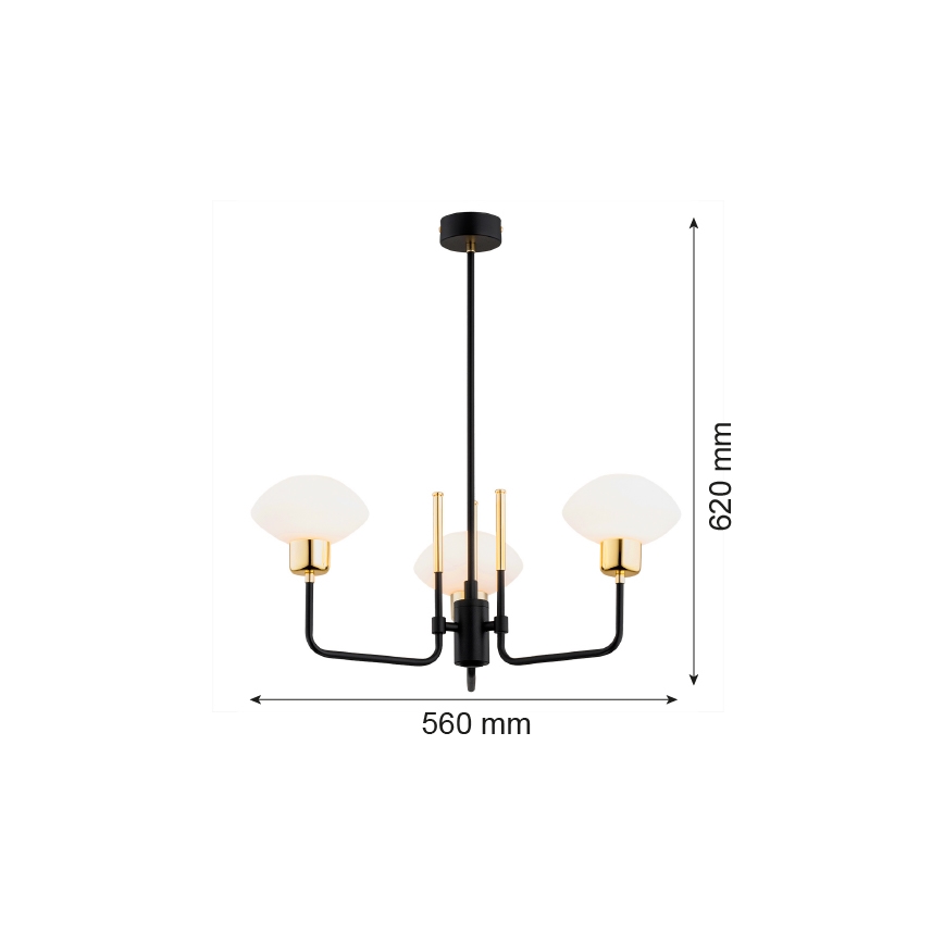 Argon 6166 - Lestenec na drogu RAVELLO 3xE14/15W/230V črna/zlata