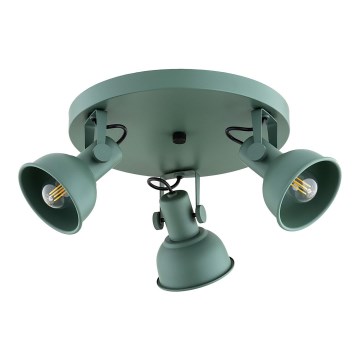 Argon 6265 - Reflektor LENORA 3xE14/7W/230V zelena