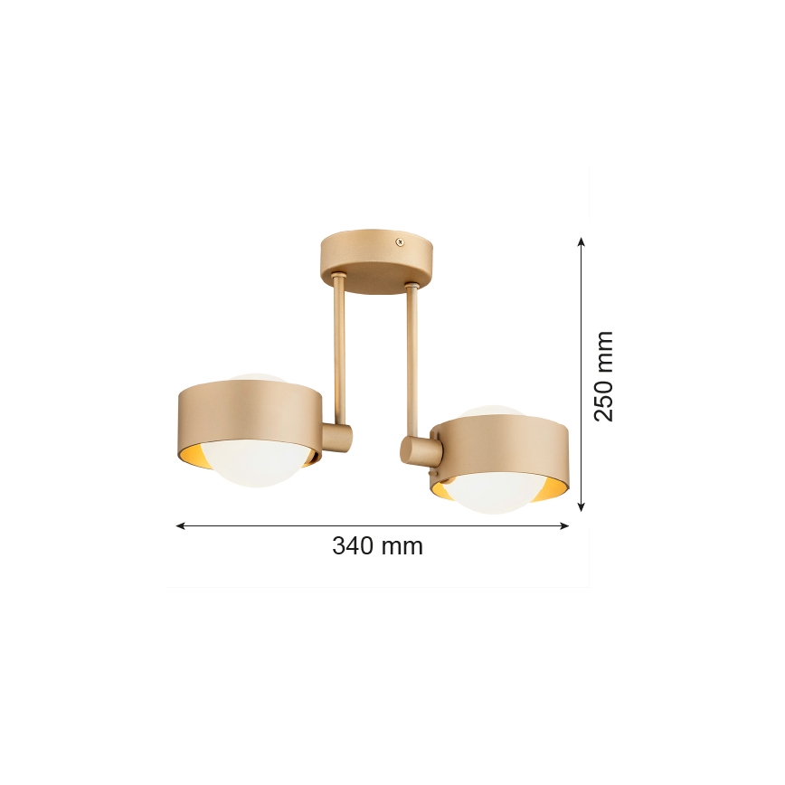 Argon 7215 - Kopalniški lestenec na drogu MASSIMO PLUS 2xG9/6W/230V IP44 zlata