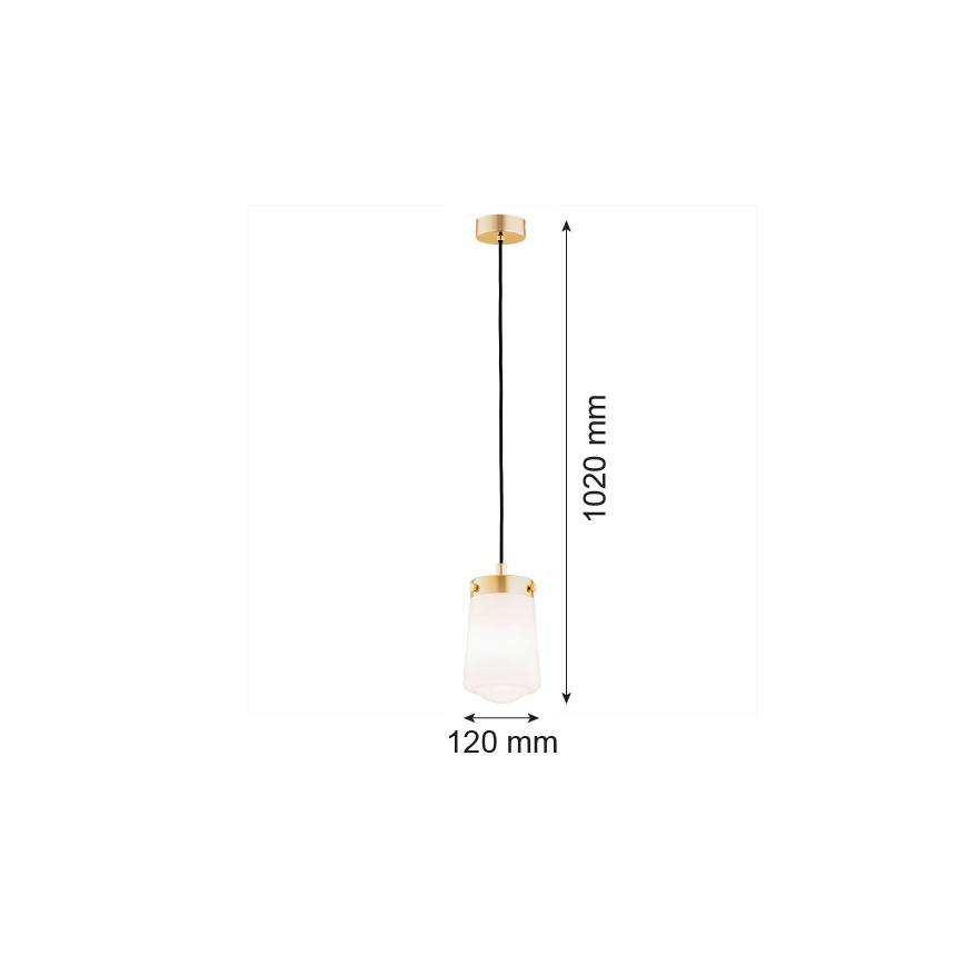 Argon 8004 - Lestenec na vrvici PASADENA 1xE27/15W/230V zlato/bela