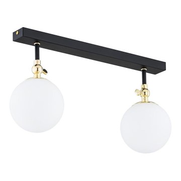 Argon 846 - Kopalniška pritrjena svetilka LATINA 2xE14/40W/230V IP44