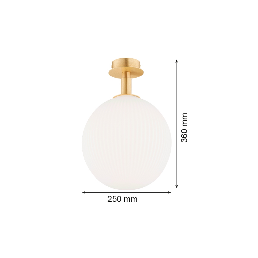 Argon 8505 - Stropna svetilka PALOMA 1xE27/15W/230V zlata/bela