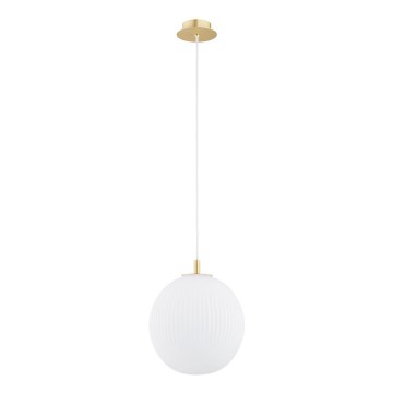 Argon 8507 - Lestenec na vrvici PALOMA 1xE27/15W/230V pr. 25 cm zlata/bela