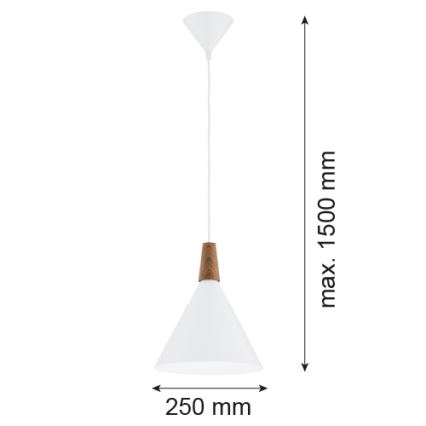 Argon 8630 - Lestenec na vrvici KEGEL 1xE27/15W/230V bela