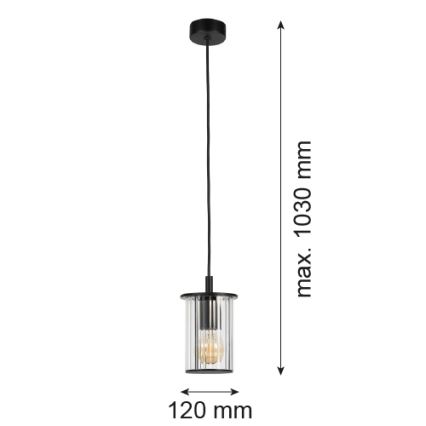 Argon 8751 - Zunanji lestenec na vrvici NORFOLK 1xE27/15W/230V IP44 črna