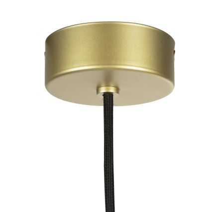 Argon 8755 - Zunanji lestenec na vrvici NORFOLK 1xE27/15W/230V IP44 zlata