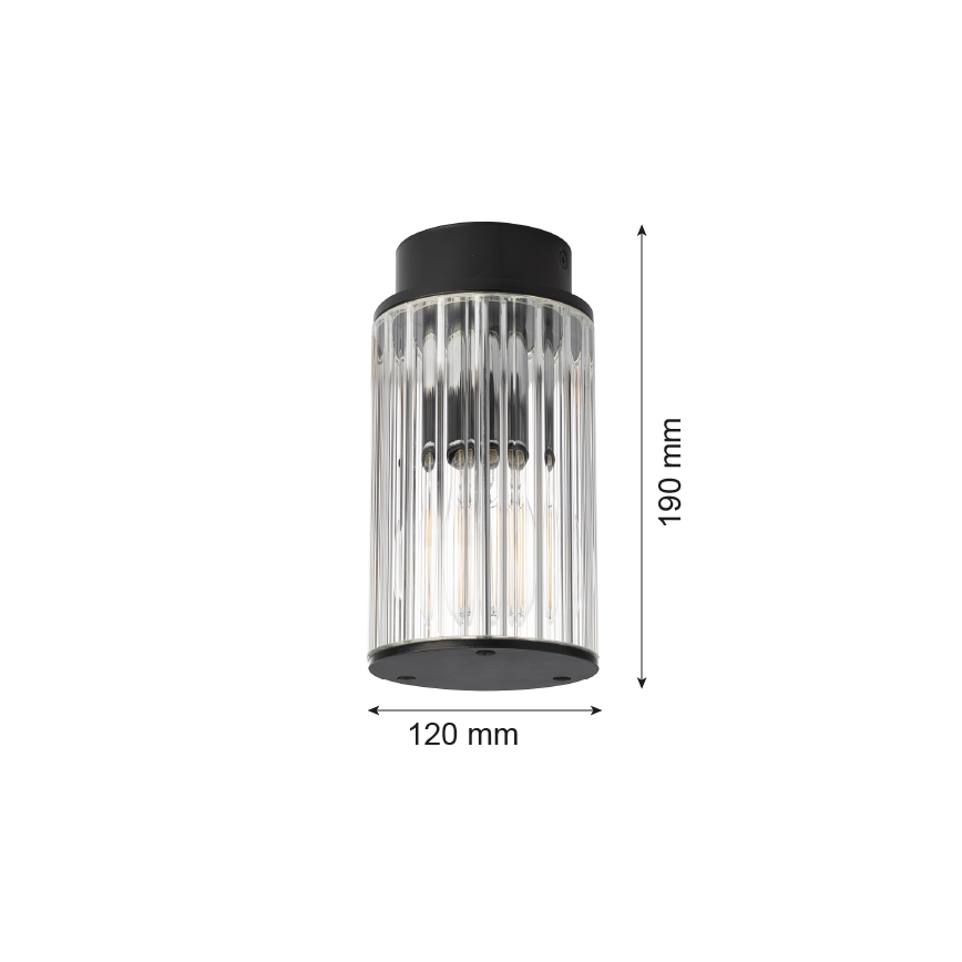 Argon 8773 - Zunanja stropna svetilka NORFOLK 1xE27/15W/230V IP44 črna