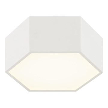 Argon 8781 - LED Stropna svetilka LIBERO LED/12W/230V 3000K bela