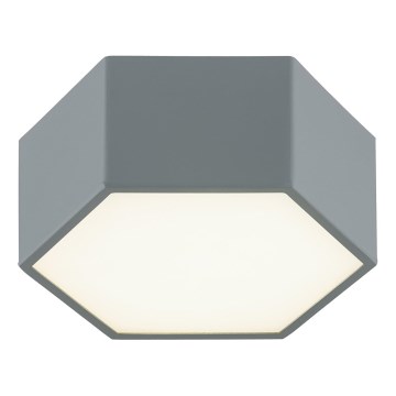 Argon 8784 - LED Stropna svetilka LIBERO LED/12W/230V 3000K siva