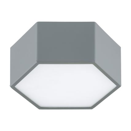 Argon 8784 - LED Stropna svetilka LIBERO LED/12W/230V 3000K siva