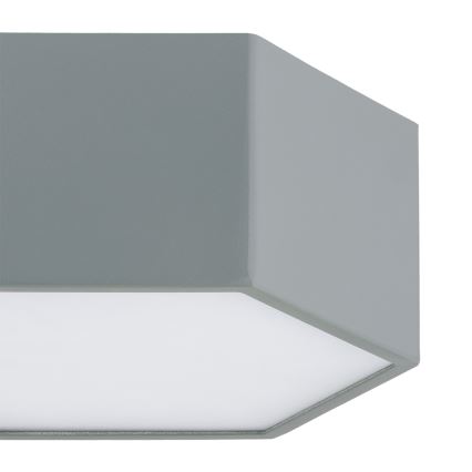 Argon 8784 - LED Stropna svetilka LIBERO LED/12W/230V 3000K siva
