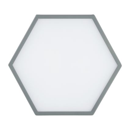 Argon 8784 - LED Stropna svetilka LIBERO LED/12W/230V 3000K siva