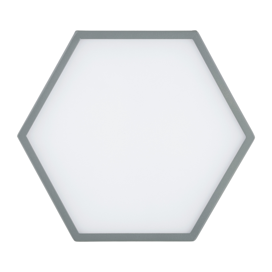 Argon 8784 - LED Stropna svetilka LIBERO LED/12W/230V 3000K siva