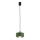 Argon 8815 - Lestenec na vrvici TEVO 1xG9/4,5W/230V zelena