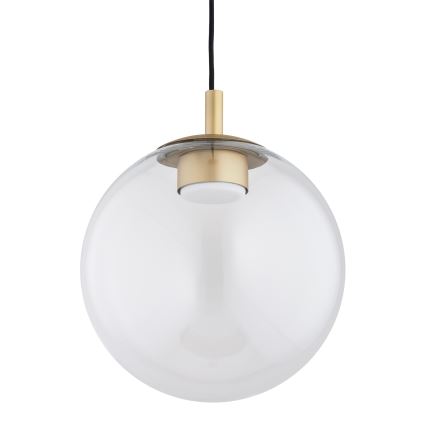 Argon 8828 - Lestenec na vrvici SACRAMENTO 1xGX53/8W/230V prozorna/zlata