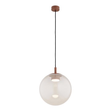 Argon 8829 - Lestenec na vrvici SACRAMENTO 1xGX53/8W/230V prozorna/rjava