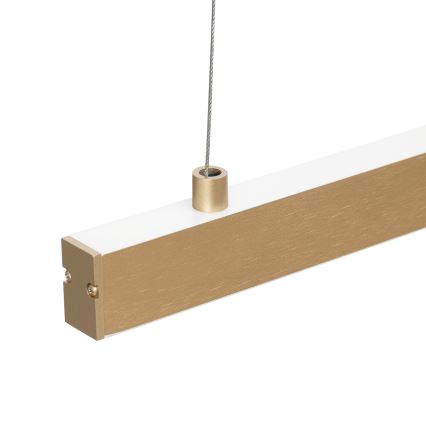 Argon 8836 - LED Lestenec na vrvici MIAMI LED/37W/230V 3000K zlata