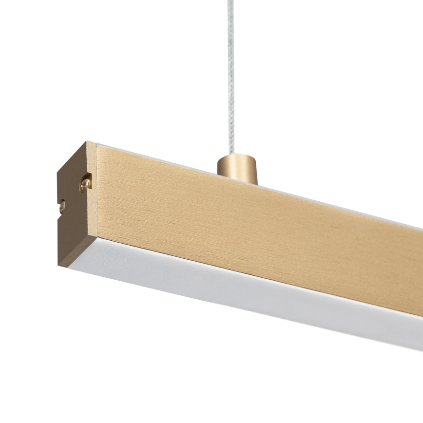 Argon 8836 - LED Lestenec na vrvici MIAMI LED/37W/230V 3000K zlata