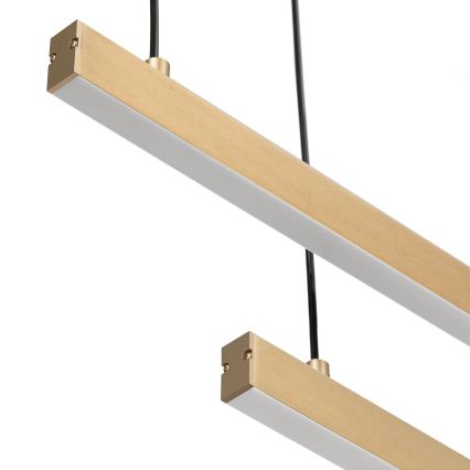 Argon 8839 - LED Lestenec na vrvici MIAMI LED/74W/230V 3000K zlata