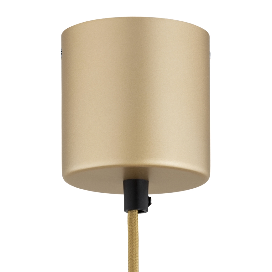 Argon 8869 - zlat LED lestenec na kablu BOLTON LED/12,5W/230V 3000K