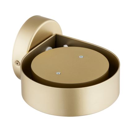 Argon 8899 - Stensko svetilo LOTUS 1xGX53/12W/230V zlato