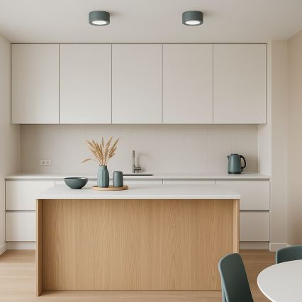 Argon 8917 - Stropna svetilka ELORA 1xGX53/7W/230V, premer 11 cm, siva