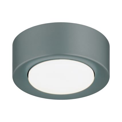 Argon 8917 - Stropna svetilka ELORA 1xGX53/7W/230V, premer 11 cm, siva