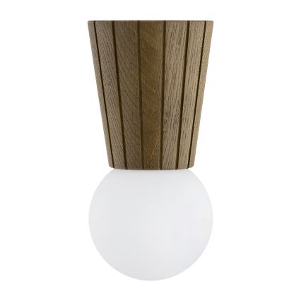 Argon 8974 - Kopalniška stropna svetilka VOLANTE 1xG9/6W/230V IP44 premer 12 cm rjava